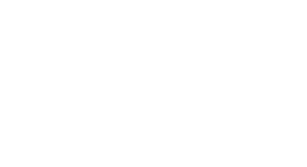 Official Selection CINEQUEST FILM FESTIVAL