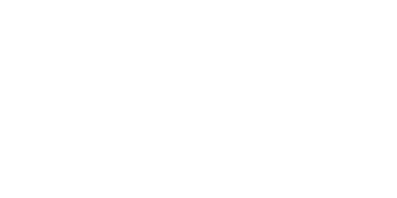 OFFICIAL SELECTION SANTA CRUZ FILM FESTIVAL 2025