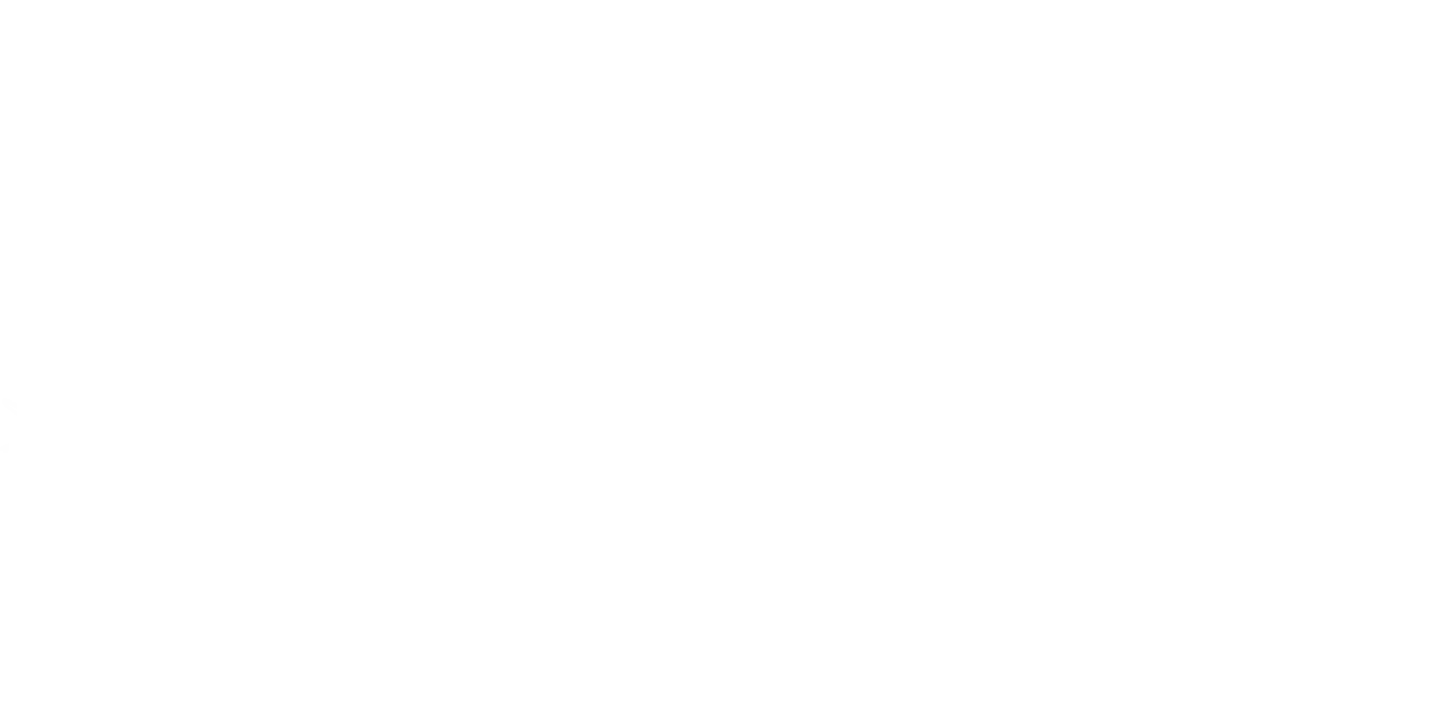 OFFICIAL SELECTION SANTA CRUZ FILM FESTIVAL 2025